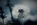 Blume-Pusteblume