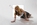 Farbe-Mädchen-Pose-Studio