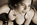 Sepia-Model-Studio